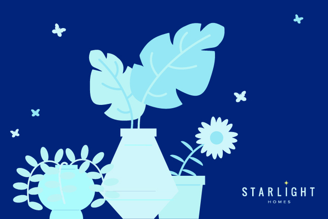 New Homes for Sale by Starlight Homes