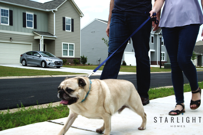 New Homes for Sale by Starlight Homes