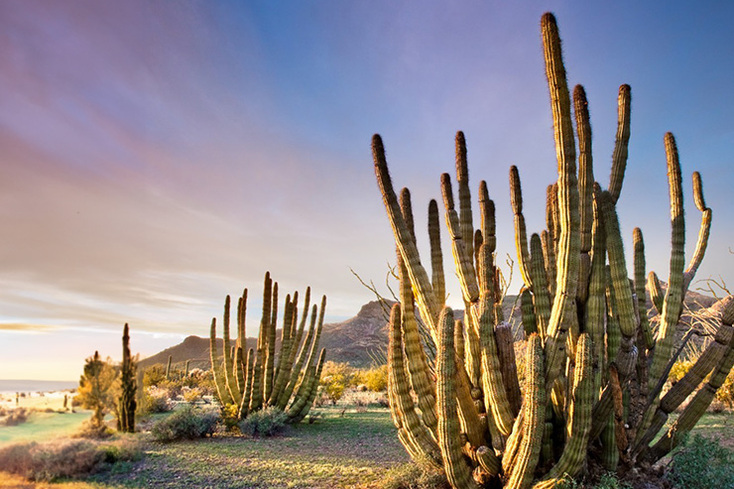 New Homes for Sale by Starlight Homes