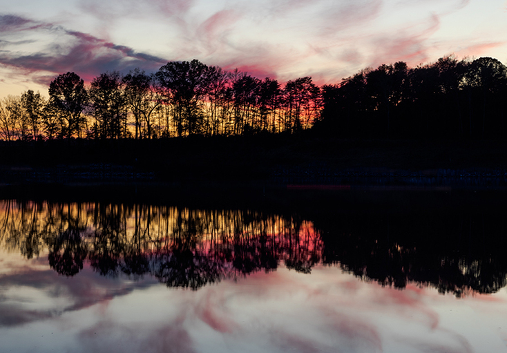 New Homes for Sale by Starlight Homes